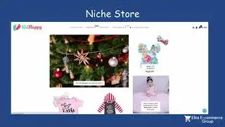 Newbies Guide 4- How To Find A Perfect Niche For Your Shopify Store In 10 Minutes!