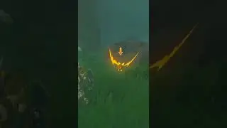 Shiny Pokémon in Breath of the Wild?!