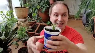 Не все советы одинаково полезны!