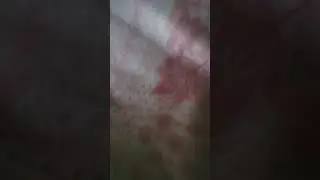 попиты 😜