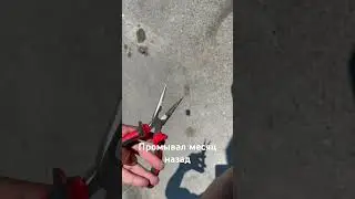 ПУХ В ТЮМЕНИ ЗАБИЛ РАДИАТОРЫ