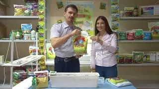 Выращивание витаминов под светильниками  