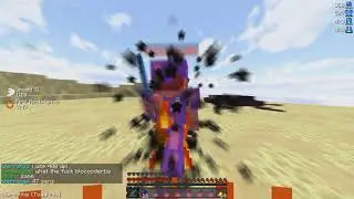 coxcum (9 potted)