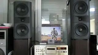 Teac V-6030S Pioneer 99TwinX