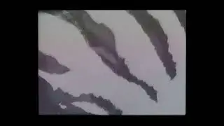 Josh Ritter - Sawgrass (Official Music Video)