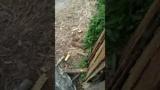 Сделал мостик на берегу используя покрышки