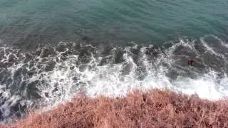 Sunday in Grenada (Videography)