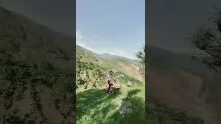 Himachal travel vlog | Most peaceful n beautiful village in Himachal | Salli Valley | #himachal