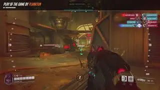 Widow1*