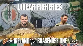 Big Carp Adventure at Linear Fisheries Brasenose one | Ireland 🇮🇪 to England 🏴󠁧󠁢󠁥󠁮󠁧󠁿 Carp Fishing 🎣