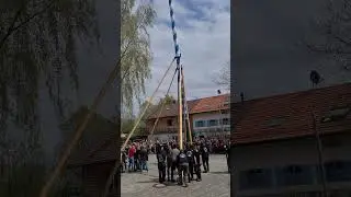 Maibaum Furth-Oberhaching