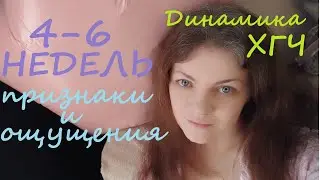 Ждем 4-го ребенка!//4-6 НЕДЕЛЬ//Обидная реакция родителей