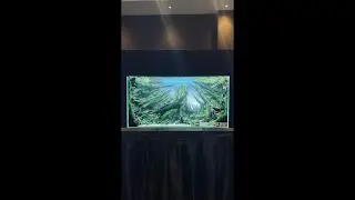 🔴 [LIVE] One Champion x Kalikan Aquascape Contest