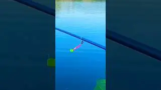 Озеро рыбалка на Пружину донка