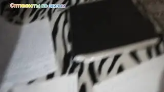 ПОПАЛИ ПОД ДОЖДЬ.../ НА ПЕНСИИ И ВСЕ УЧУСЬ!