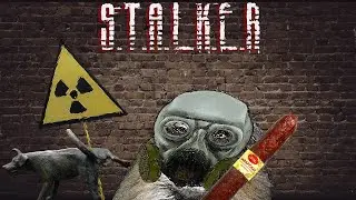 Stalker - Shadow of Chernobyl (#2)