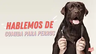LA MEJOR OPCIÓN PARA ELLOS