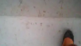 Экскурсия по хозяйству бабушки. Настя.