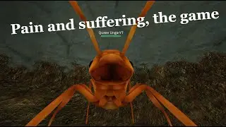 Average day in Ant Life - Ant Life V2 Ep24