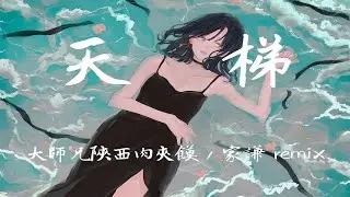 張智霖-天梯（大師兄陜西肉夾饃 / 家謙 remix）「幾多對 持續愛到幾多歲 當生命 仍能為妳豁出去」【動態歌詞/Lyrics/無損音質/抖音】♪