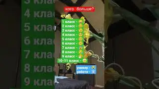 кого больше?⚡