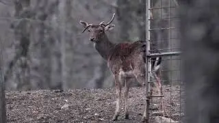 NaturArt - Basilicata
