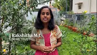 Rainwater Harvesting Journeys: Bangalore Experts and Citizens Share Their Stories