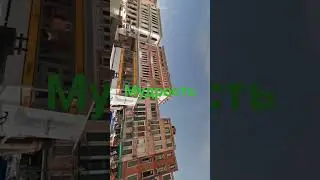 Мудрость