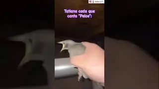 La más cantante 💅🏼
