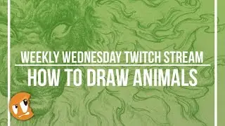 Stream: How to Draw Animals