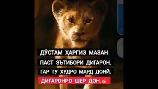 DAWAH MUSLIMA ИЗГНАНИИ ДЯВОЛ в прямом эфире!