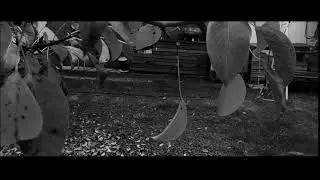 SZINAPSZIS - átkapcsolás