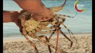 Kill your Meat before you Eat - Crayfish - Miguel Maestre