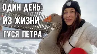 Весна и гусь