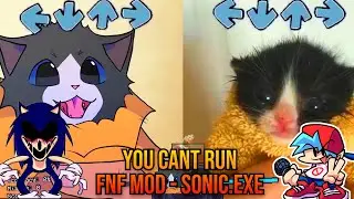 YouCantRun BUT Towel Cat VS ANIMATED TOWEL Cat? - FNF Animation Sonic.exe Mod