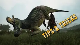 Lambeo Is NOT For Beginners.