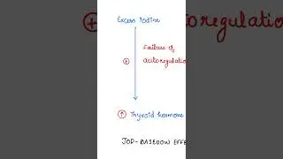 Jod Basedow Effect