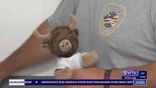 Plush Buffalos honor memory of PA fire chief killed in Trump rally shooting