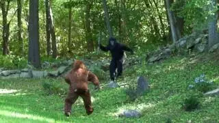 BIGFOOT vs DOGMAN