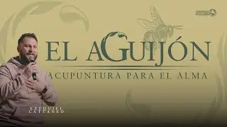 El aguijón, acupuntura para el alma| Pr. Ezequiel Cattaneo