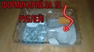Вау!!! Формикарий за 15 рублей !!! Как сделать?