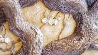 Барельеф и художественная роспись в частной квартире г.Раменское