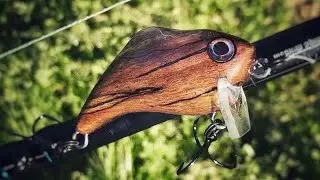 Lure Making a Wakebait from Spalted Oak