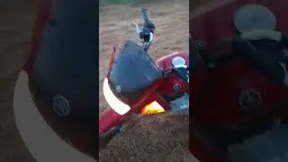1 августа 2024 г.