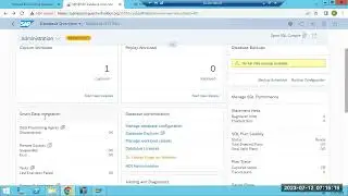 SAP HANA COCKPIT 2.0 CONFIGURATION & HANA BACKUPS
