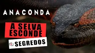 O TERROR QUE RASTEJA: REVISITANDO O CLÁSSICO ANACONDA
