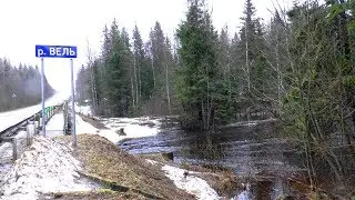 Половодье. п.Коноша. 2020г.