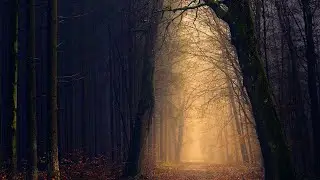 A Far Way - Relaxing (No Copyright Music) 
