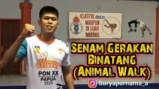 Senam Gerakan Hewan (Animal Walk)