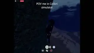 Playing Colibri Simulator in COS Be LIKE